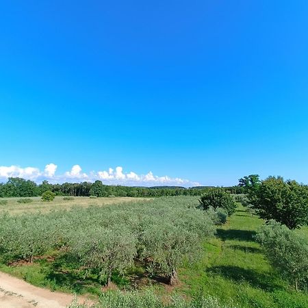 Apartman Ika Umag Exterior photo